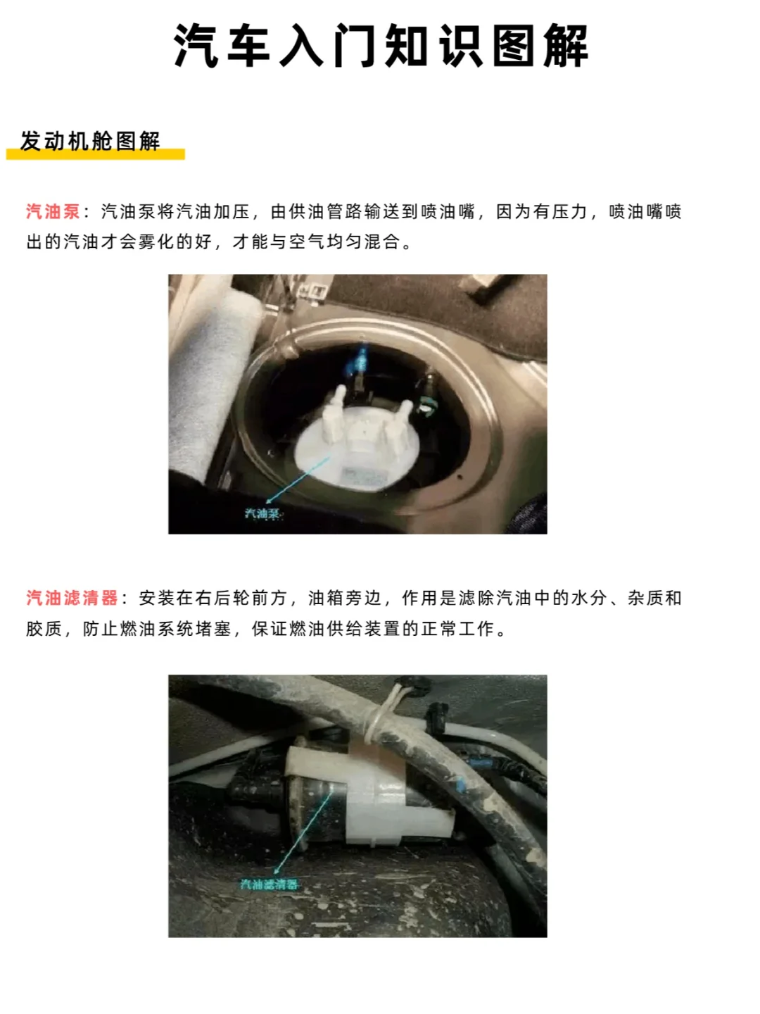 汽车入门知识-发动机舱图解