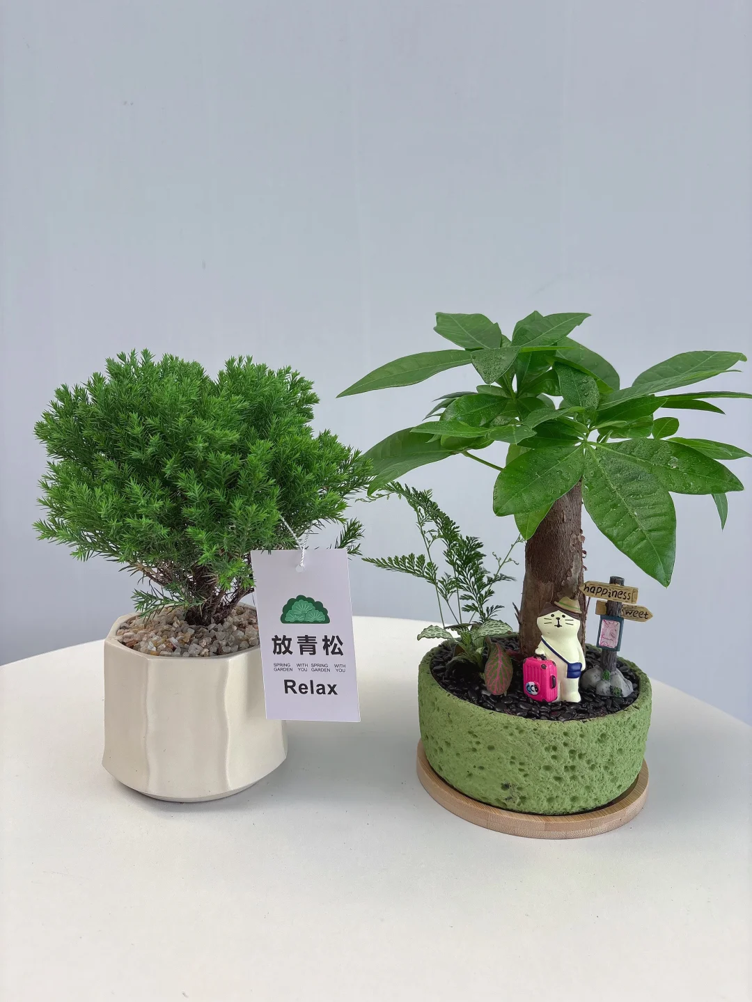 因为这个工位绿植?我不想下班了