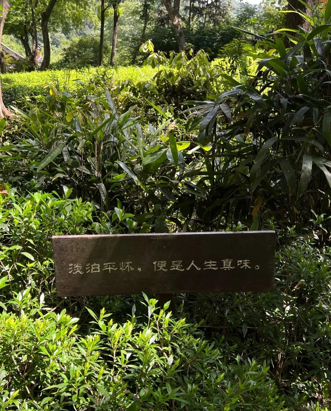 今天的济南一夜入冬了！！