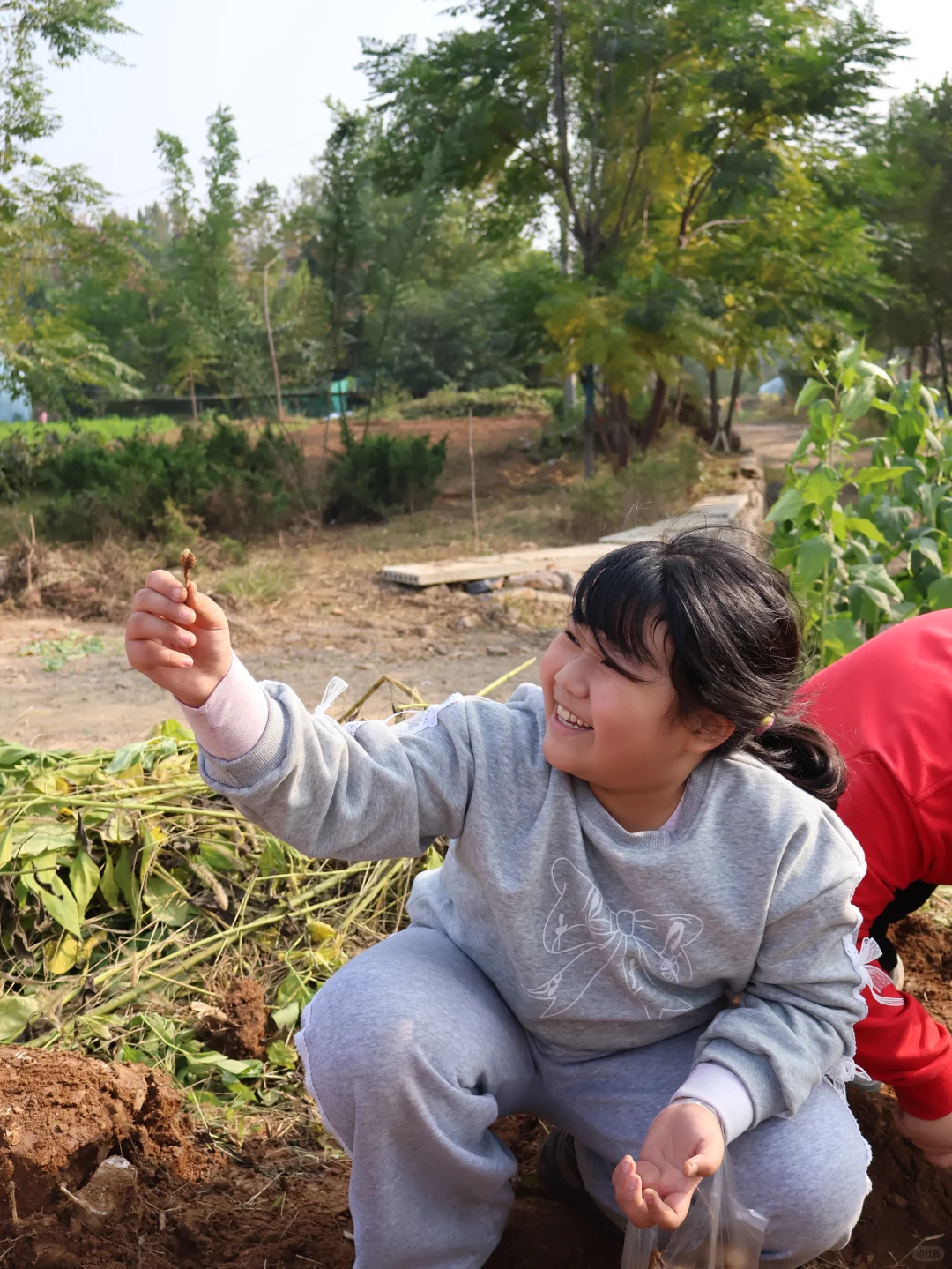 济南秋游｜百人团体活动圆满交付户哦
