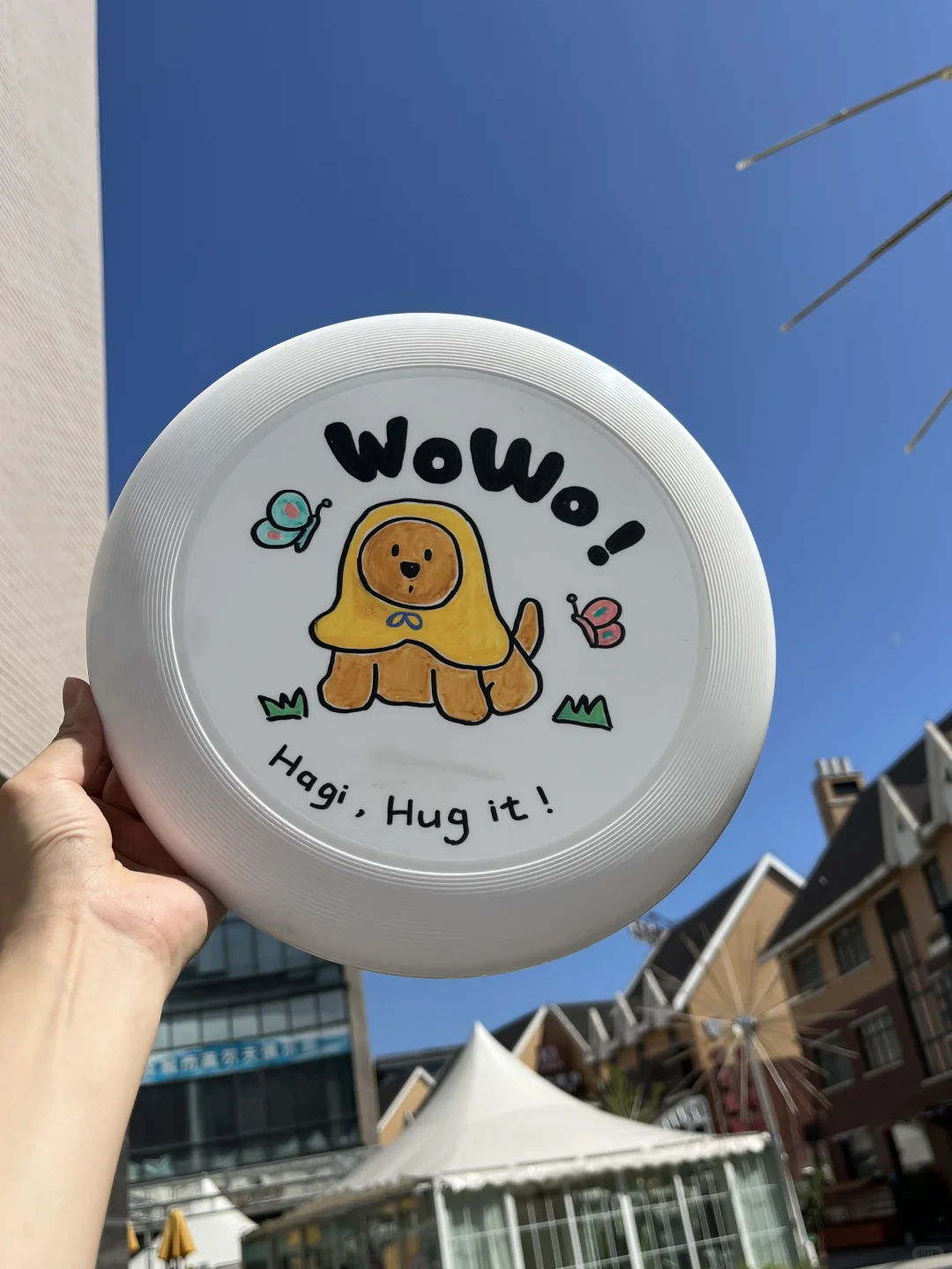 雨衣小狗×飞盘，好可爱?