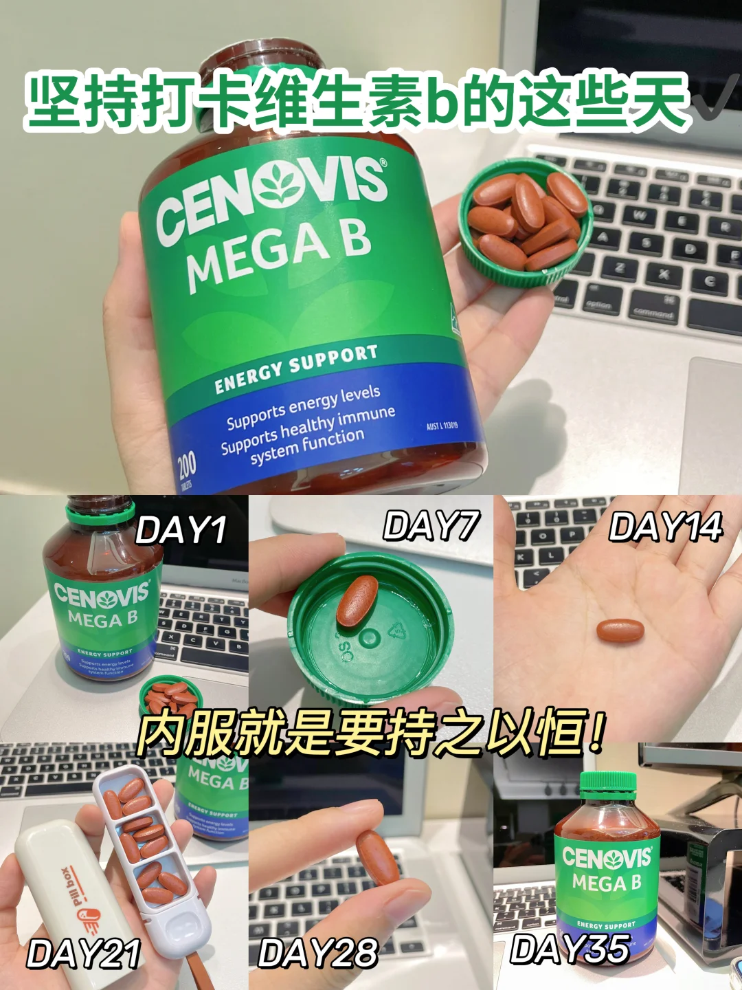 职场马喽的能量加油站⛽️一键清除班味