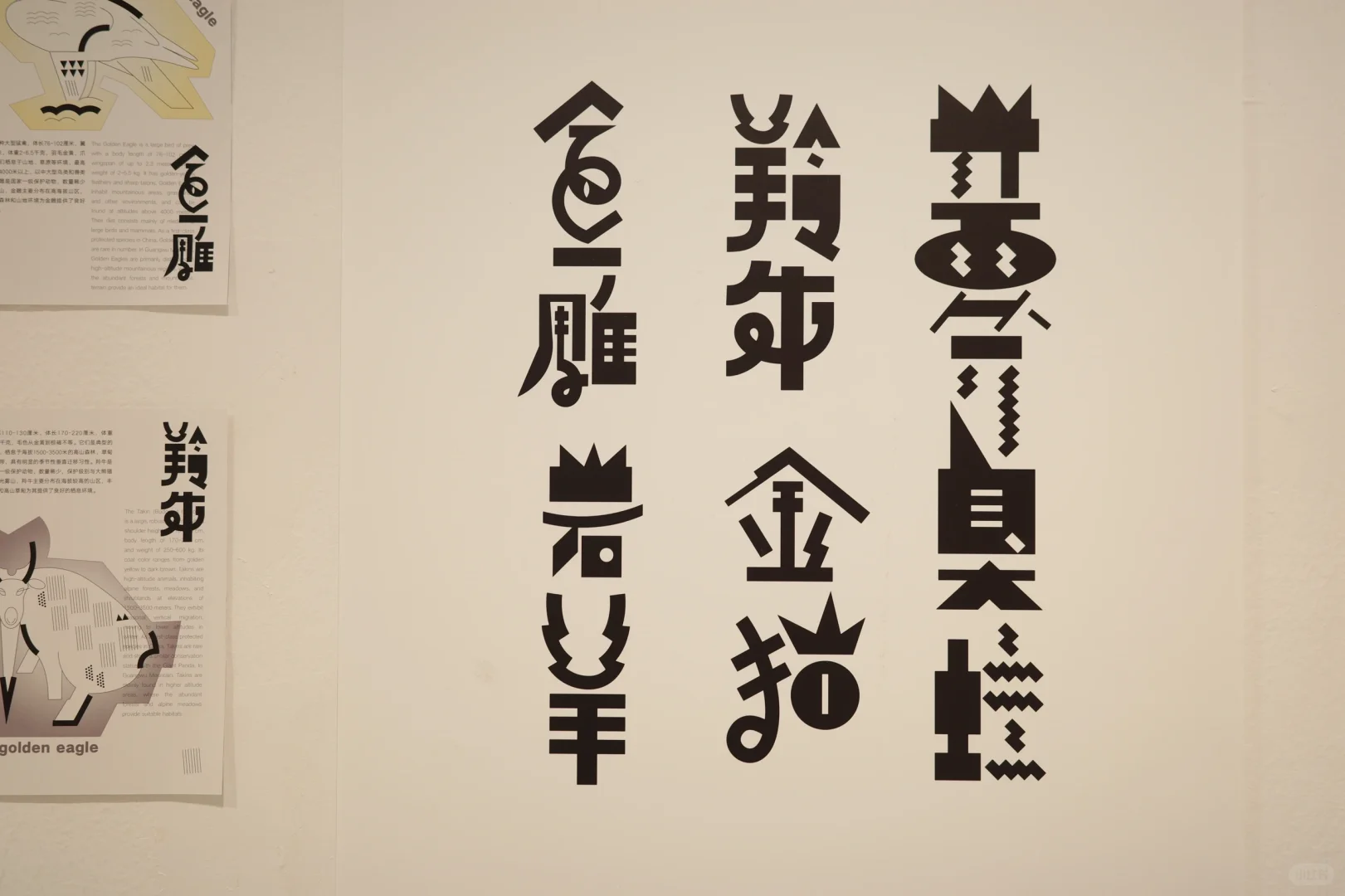 川美毕设展出-自然之息