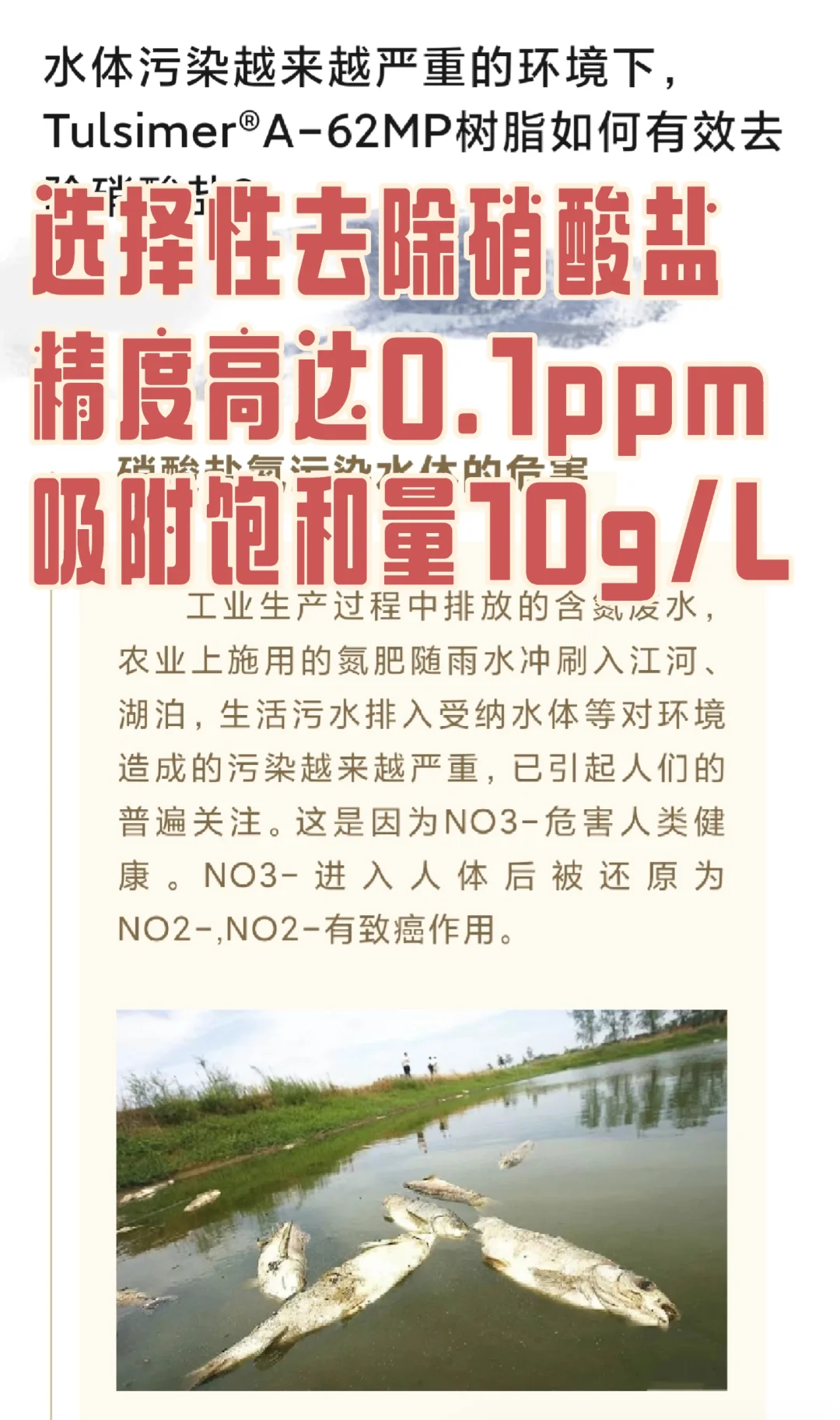 选择性除硝酸盐