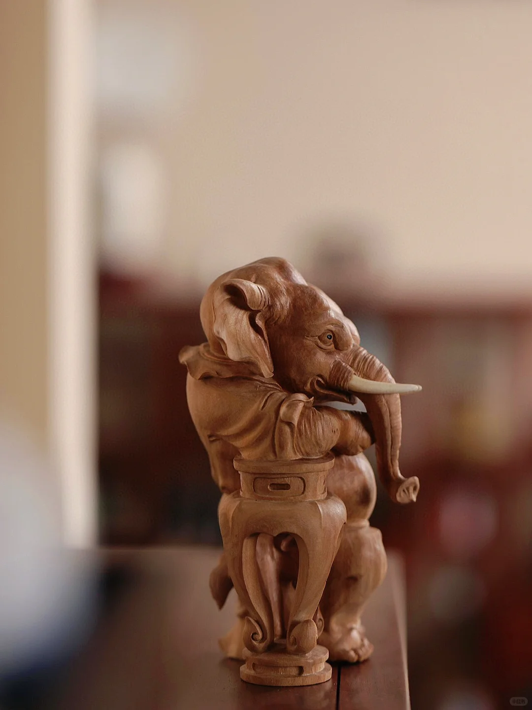 谁能拒绝酷酷的小象呢