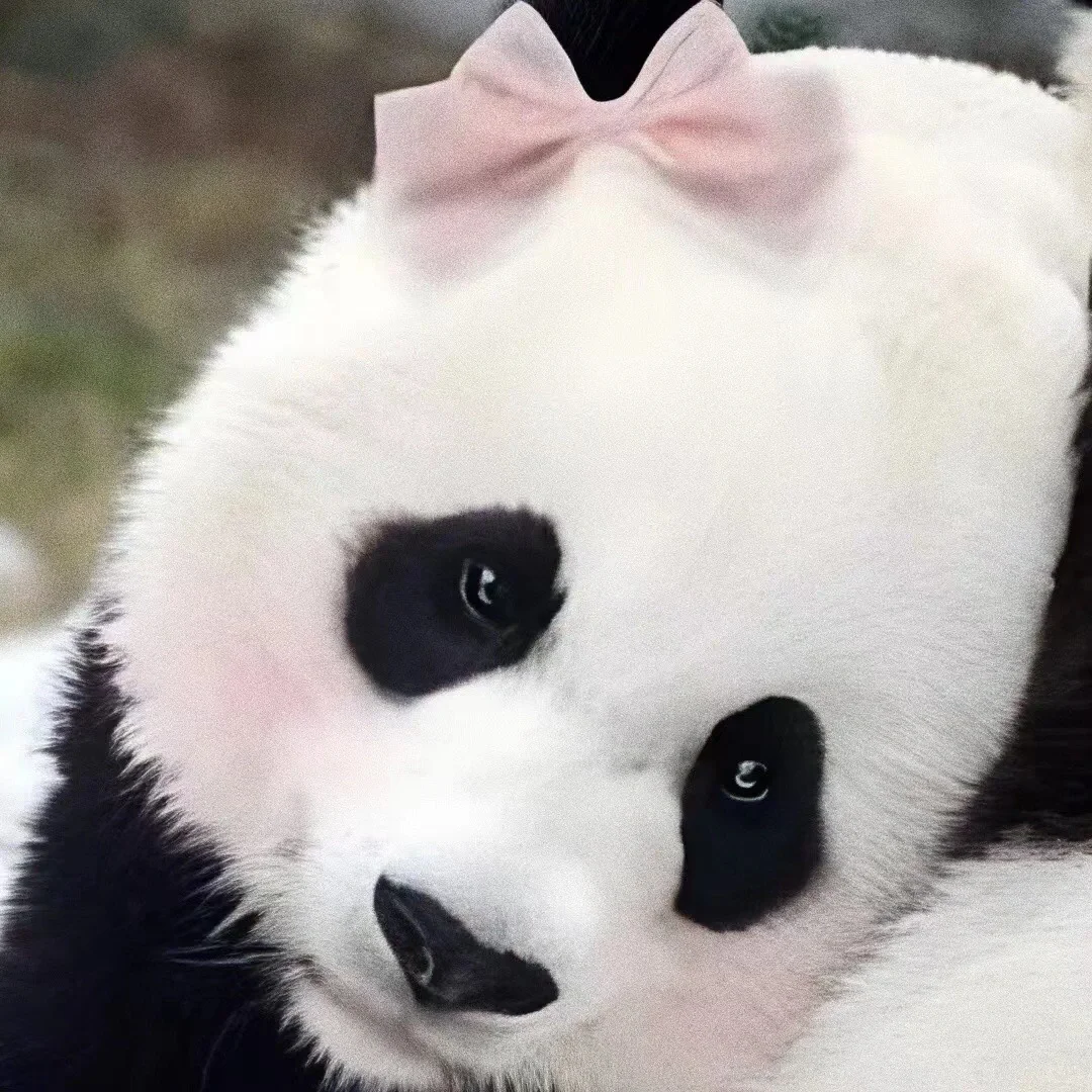 愿审计的每一家公司都没有远期结售汇