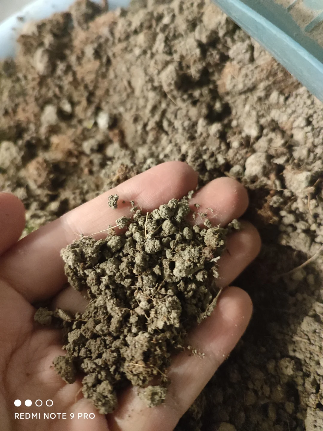 (花友必看)工业废土是什么鬼怪?