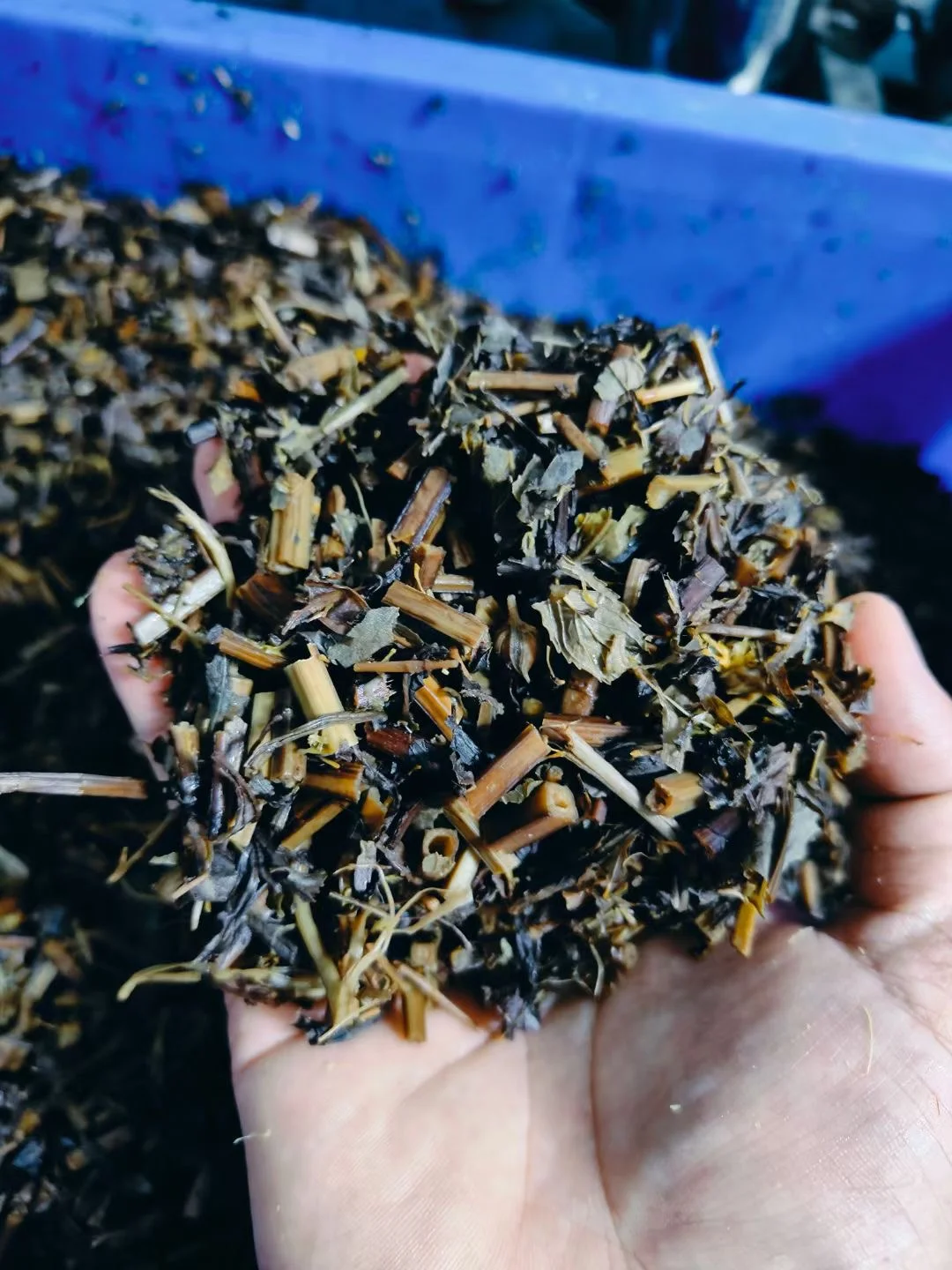 洗发水工厂 OEM ?