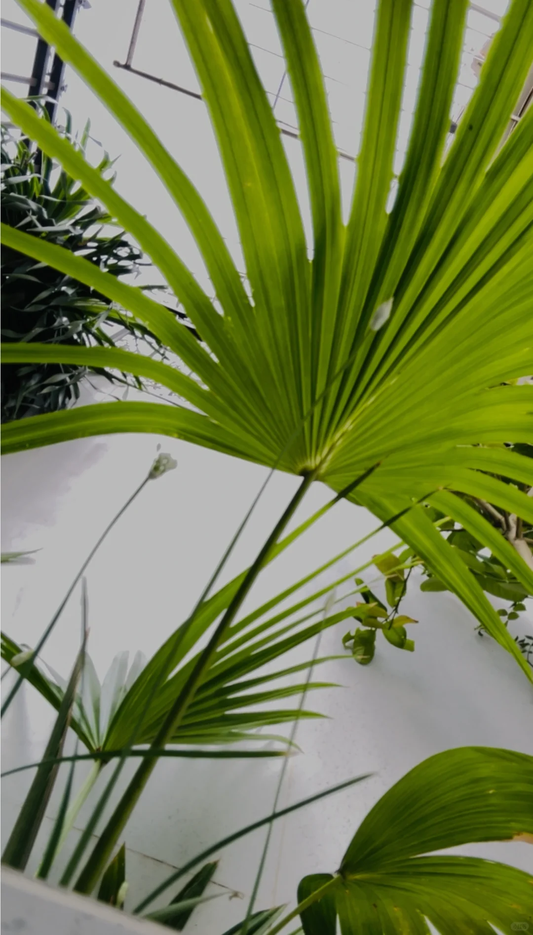 4个复古门窗干货！装完你的老破小也美到犯规