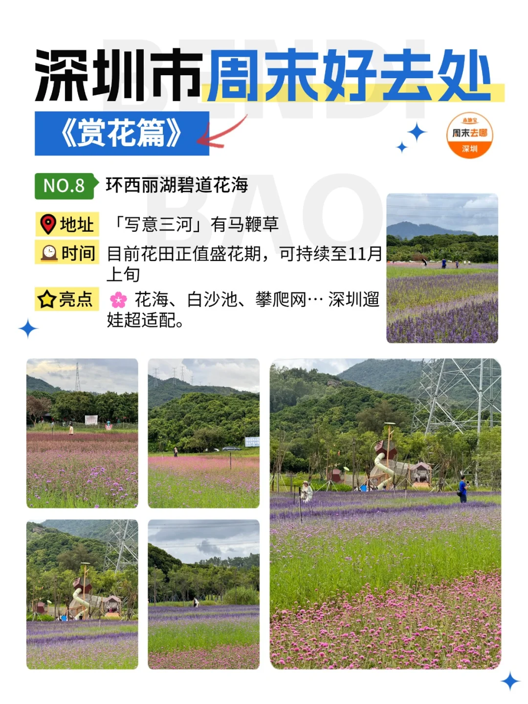 深圳这个周末能做的24件事‼️好多免费