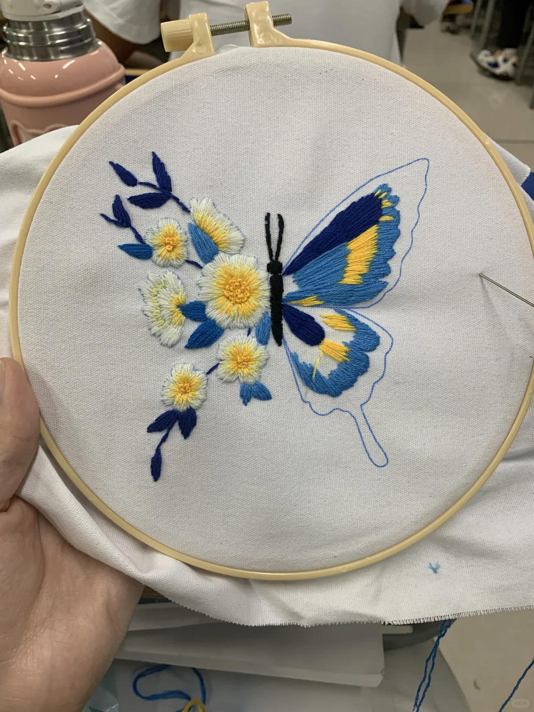 ?一只蝴蝶的成长过程