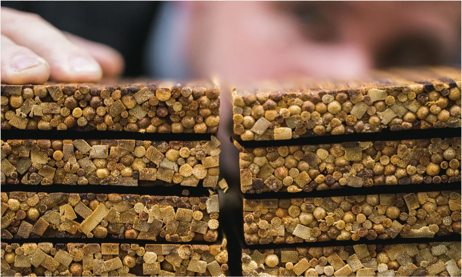 筷子废弃物再生