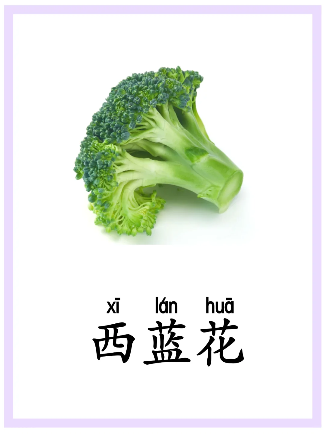 建议收藏⭐️|闪卡“蔬菜”|持续更新❤️