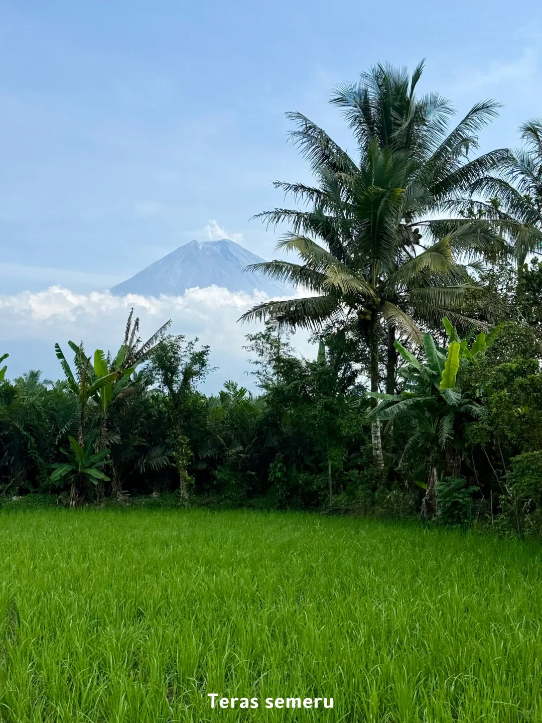 ??印尼｜泗水4天旅行攻略 （骑摩托版）