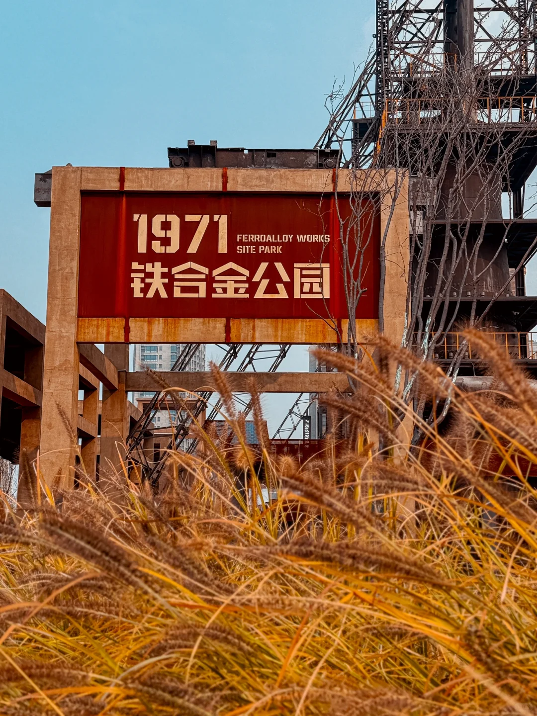 1971铁合金公园的前世今生。