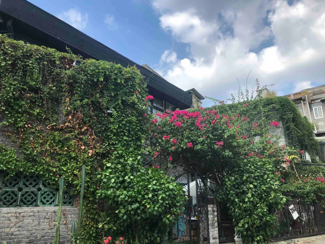 厦门特种兵!两天一夜一人游攻略