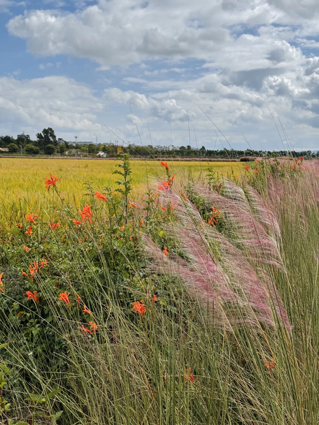 建水周边半日游,偷得浮生半日闲