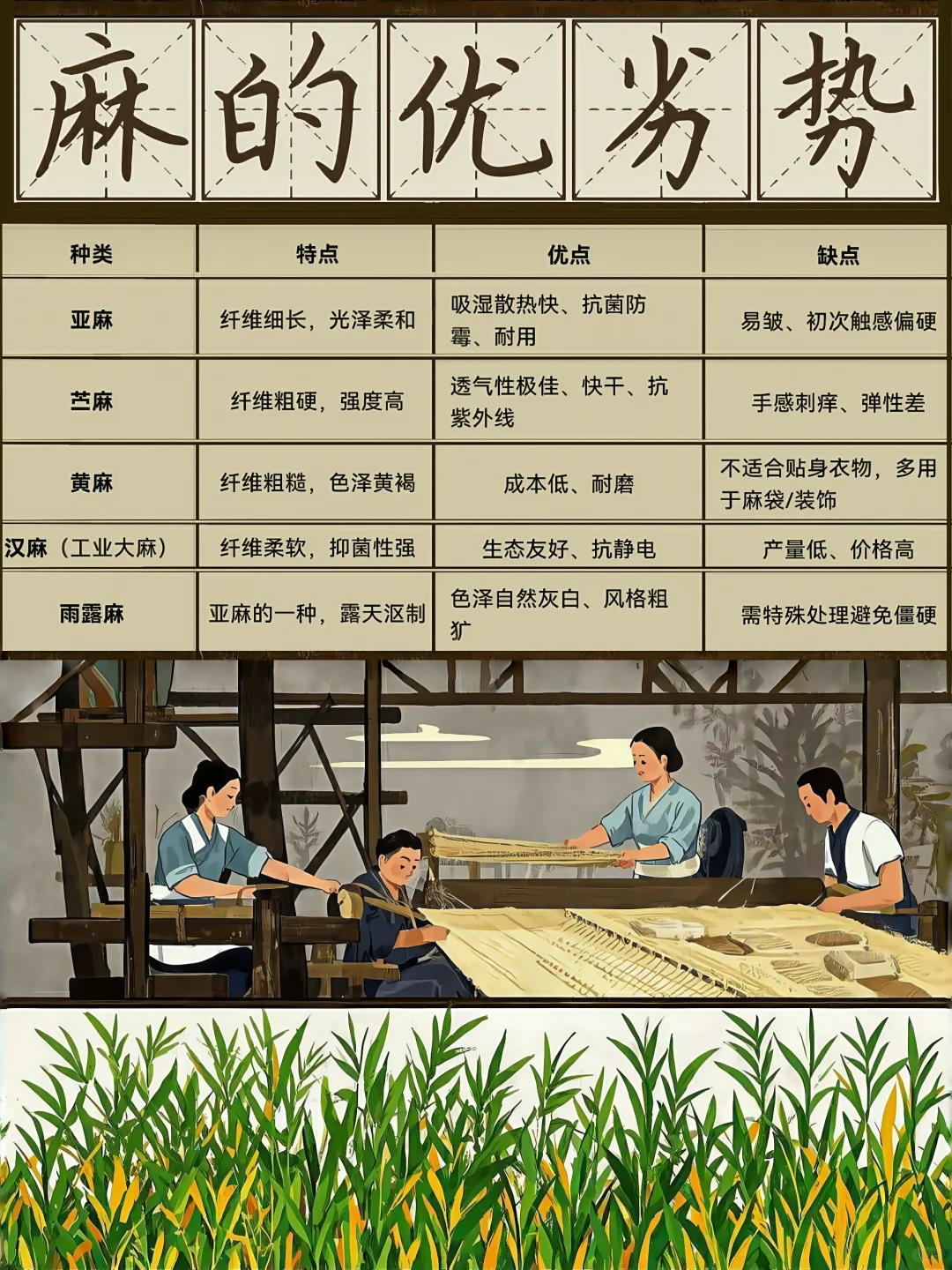 面辅工艺库||【麻】