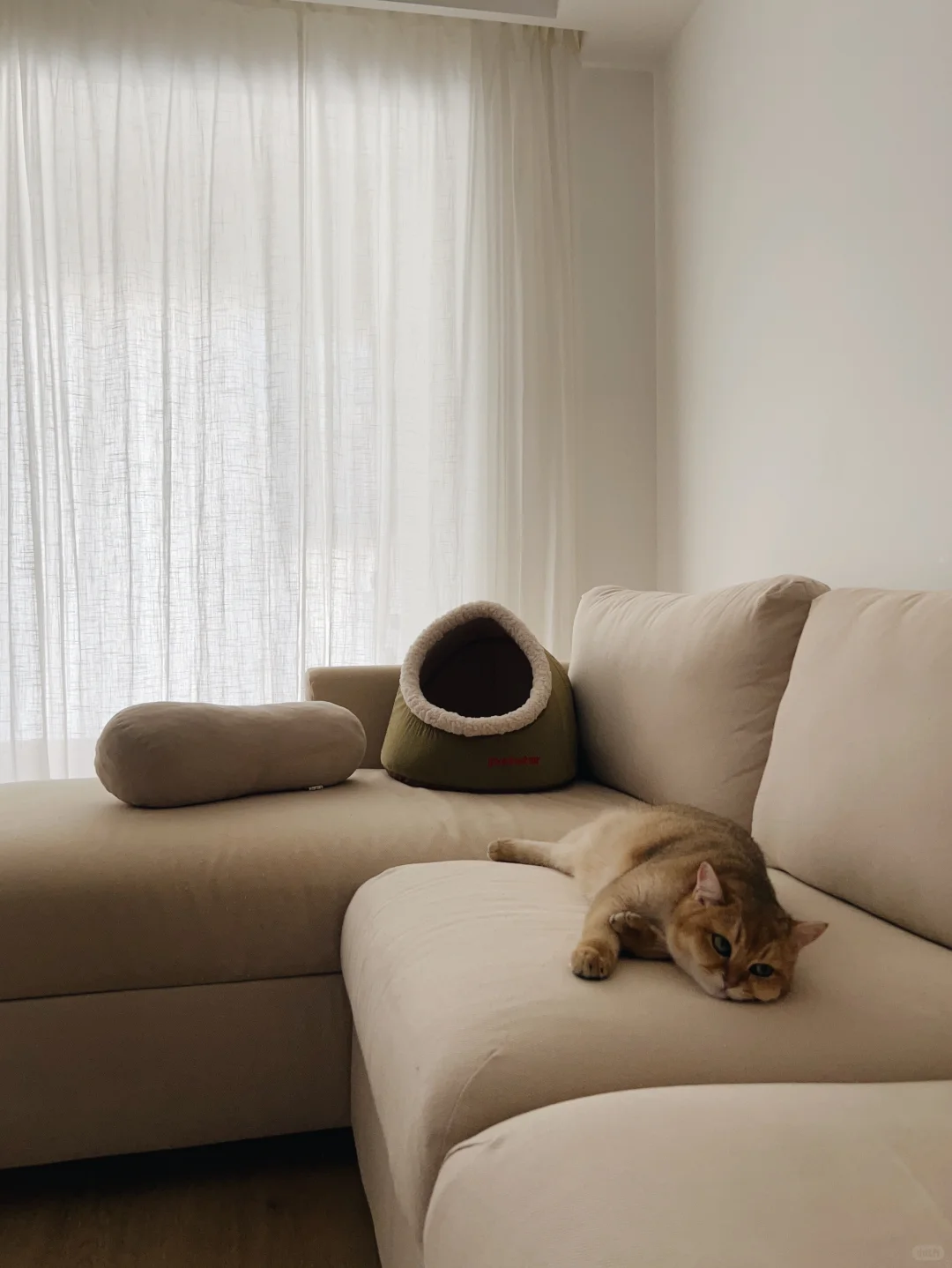 少物真的很方便