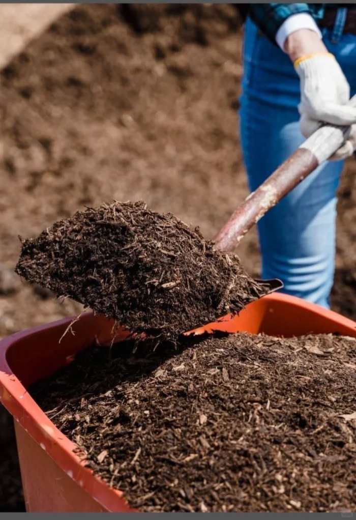 【紧急插播】栽种前必看~土壤改良秘籍