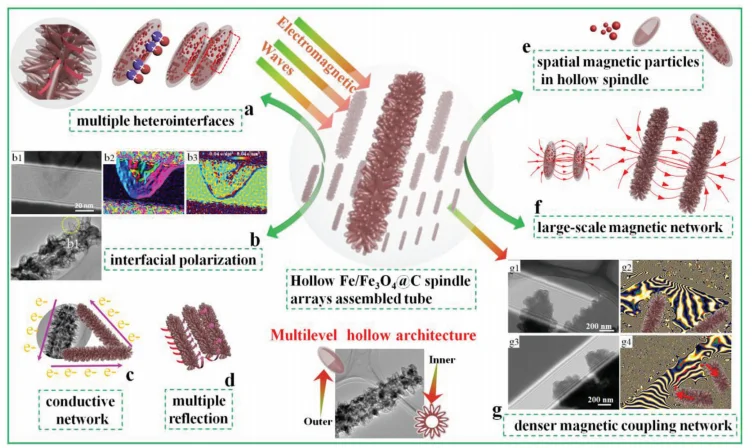 22年的一篇Advanced science 多级异质界面
