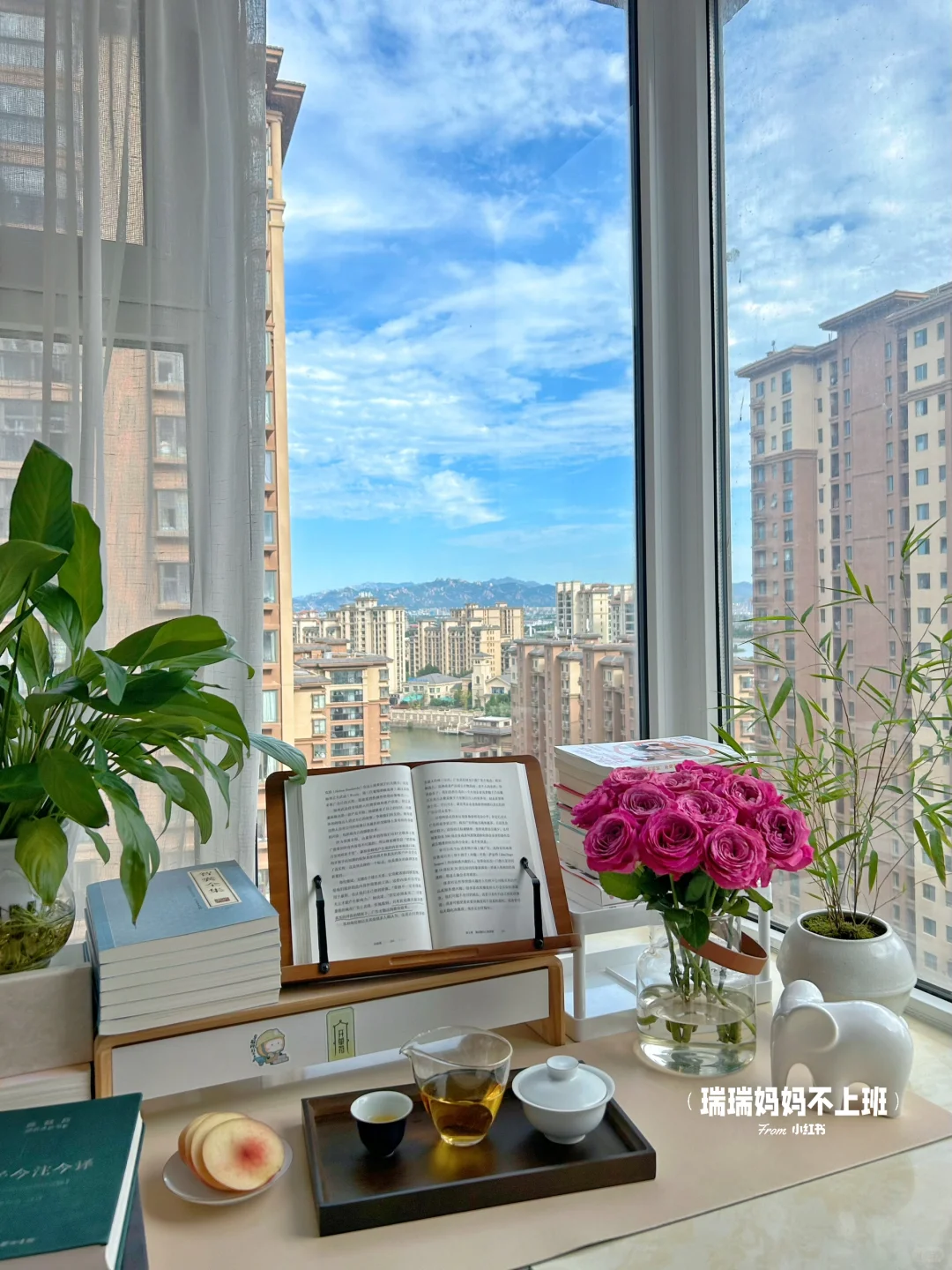 36岁,家是我的能量场,独处是灵魂的充电站✨