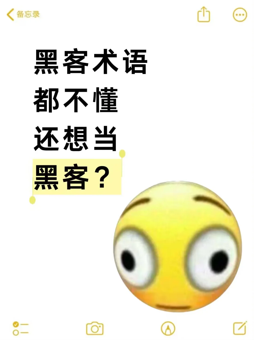 黑客术语都不懂还想当黑客？
