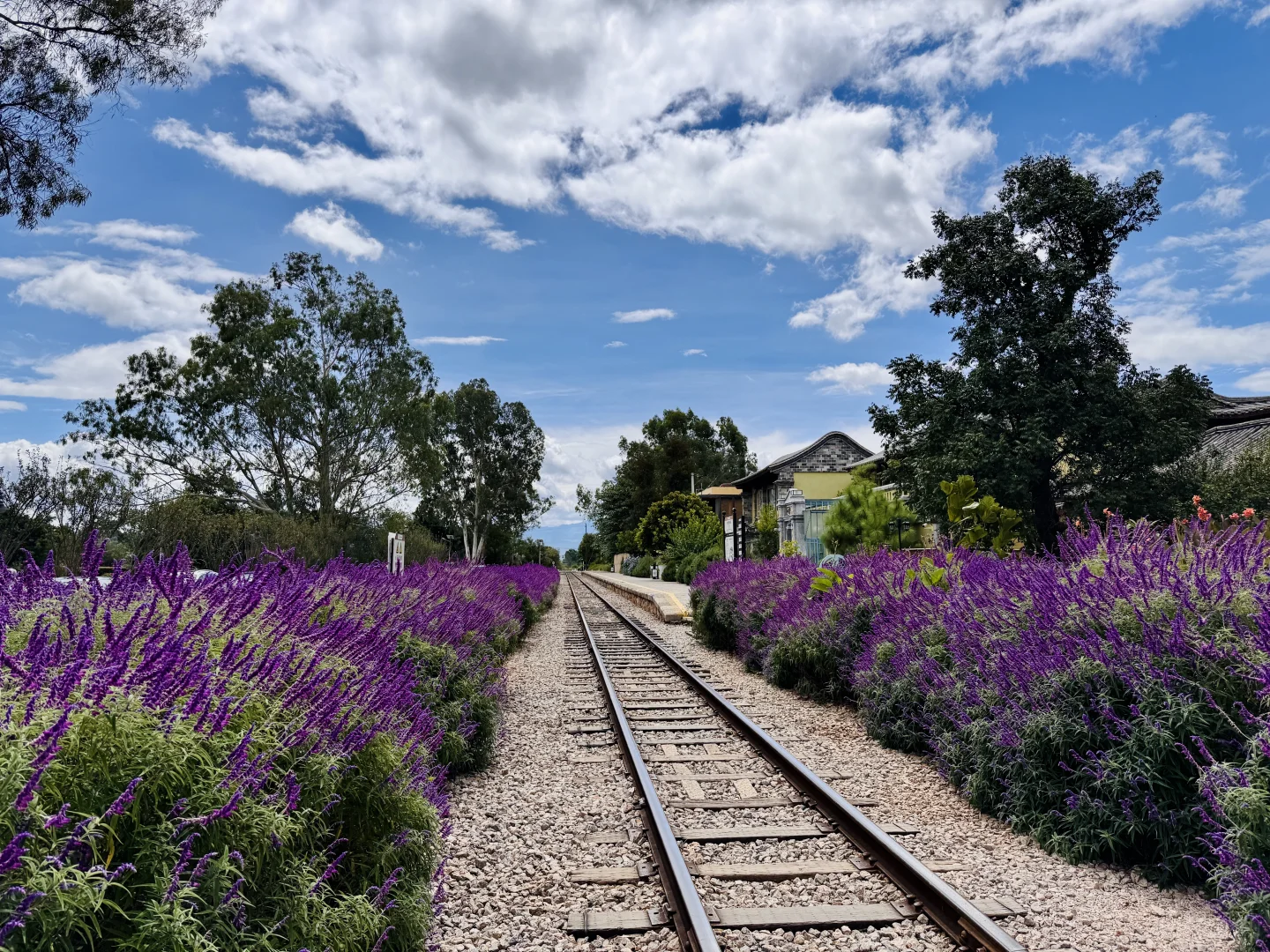 建水周边半日游,偷得浮生半日闲