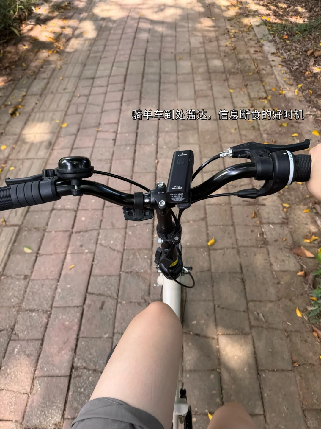 30+清醒健康观:4个高反馈的迷你养生法