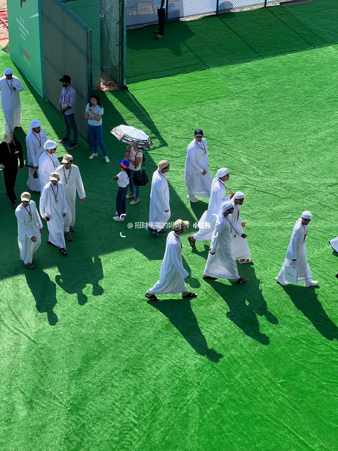 ??迪拜航展最后两天免费观看攻略✈️