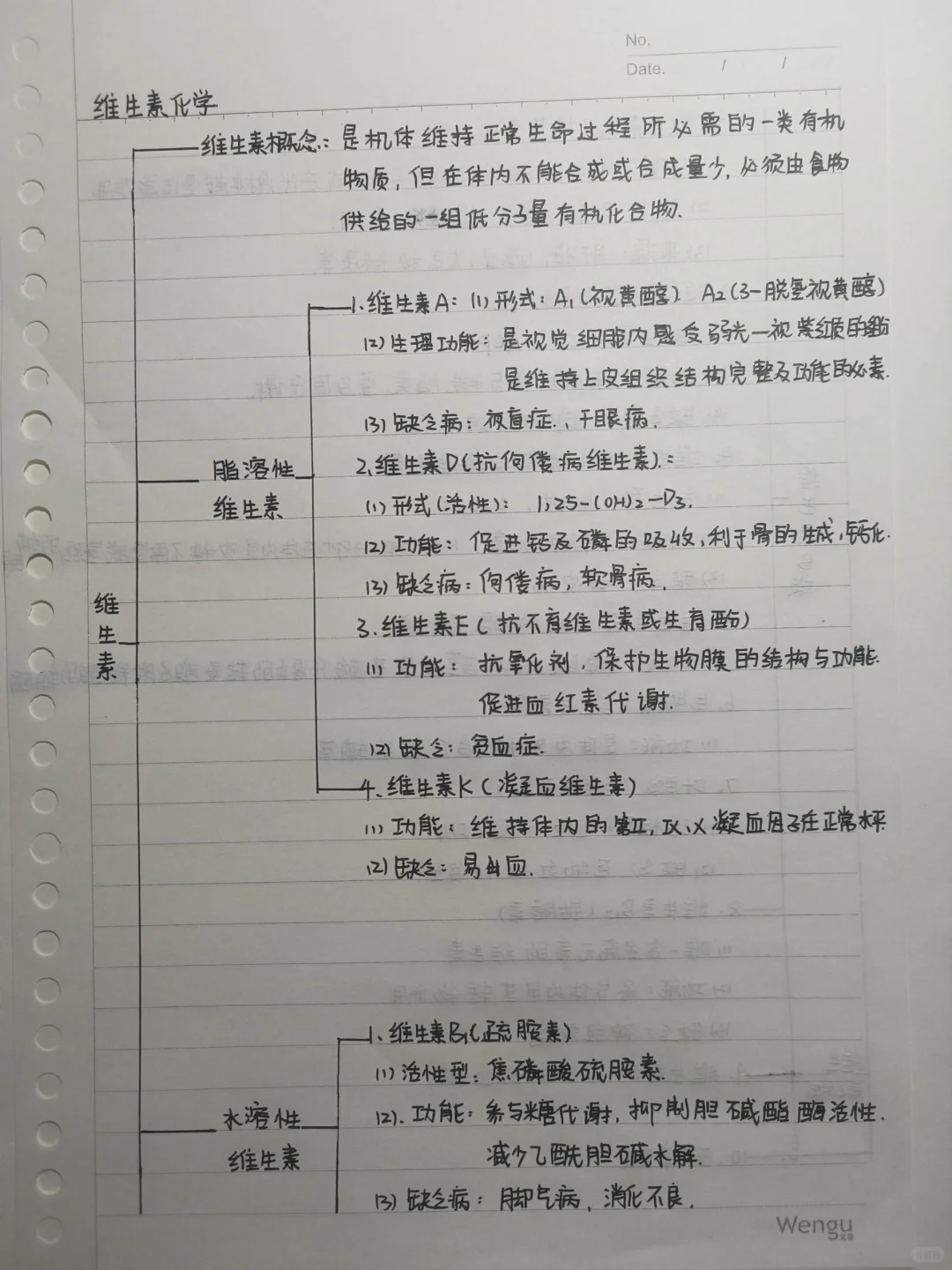 生化笔记——维生素化学