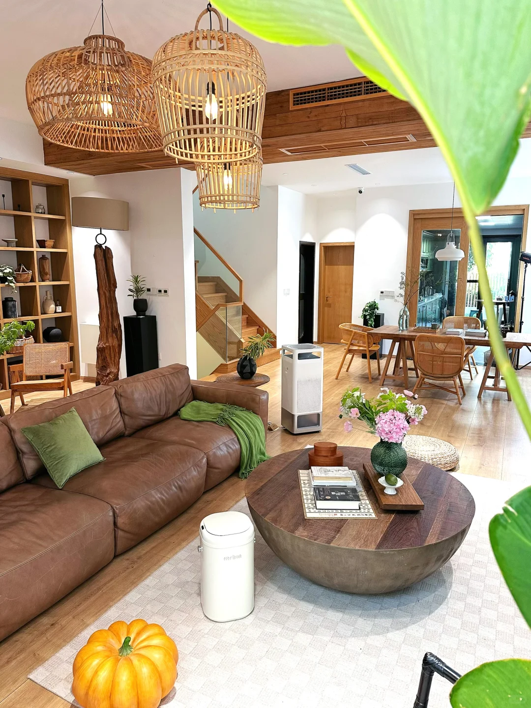 秋冬晨起喉咙干到疼?得先从空气入手