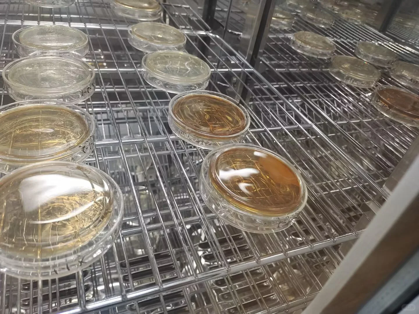 食品专业质量检测工作内容