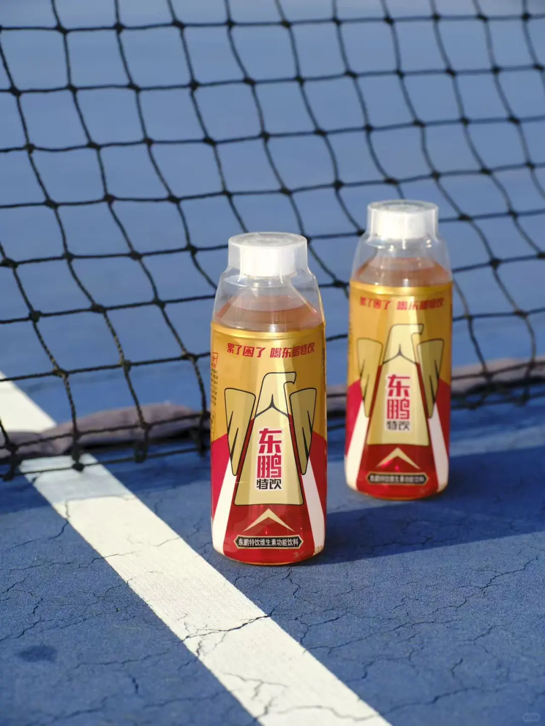 东鹏特饮,中国功能性饮料第一,赴港上市