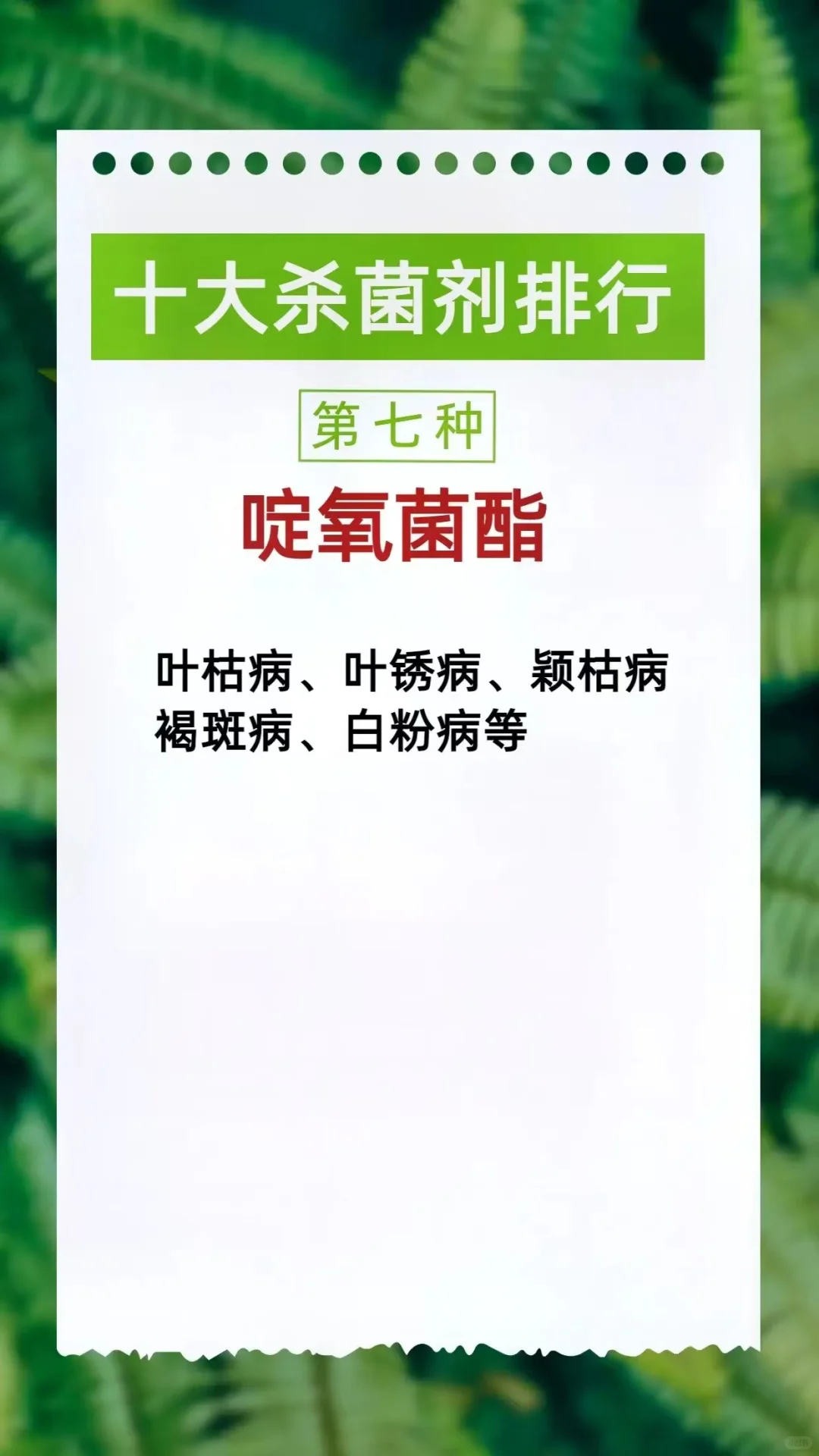 农作物植保中十大杀菌剂排行