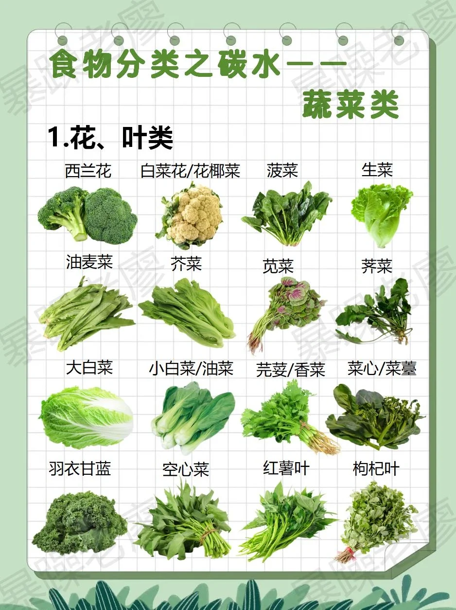 食物分类2-蔬菜（附日常安排要点）