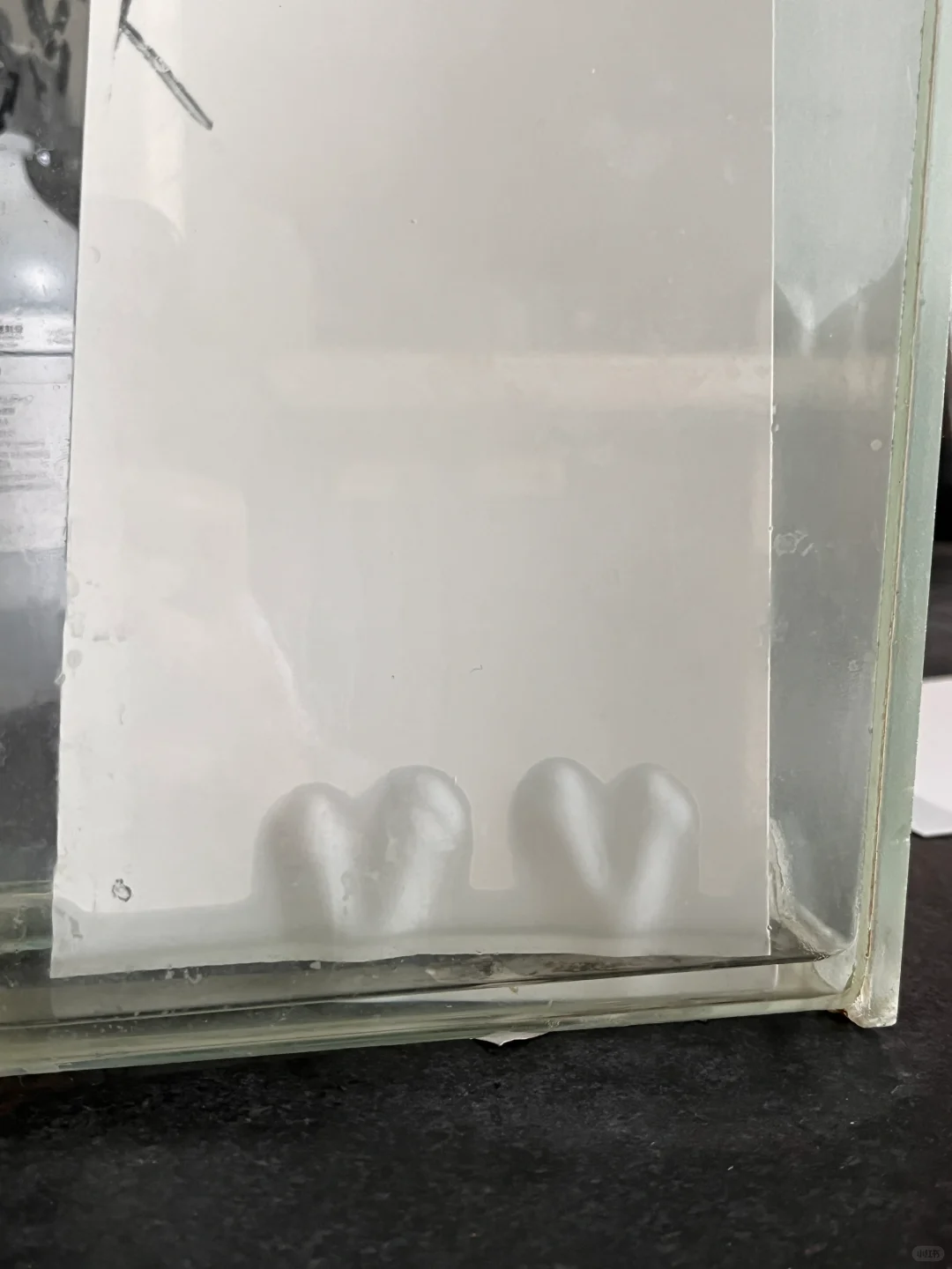 连实验失败都是爱你的形状