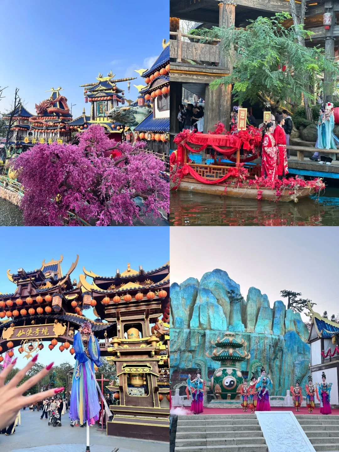 开封菊展｜白天黑夜拍照都封神?