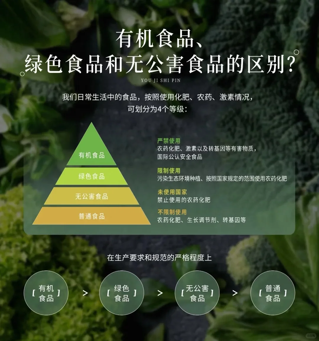 什么才是真正的有机食品