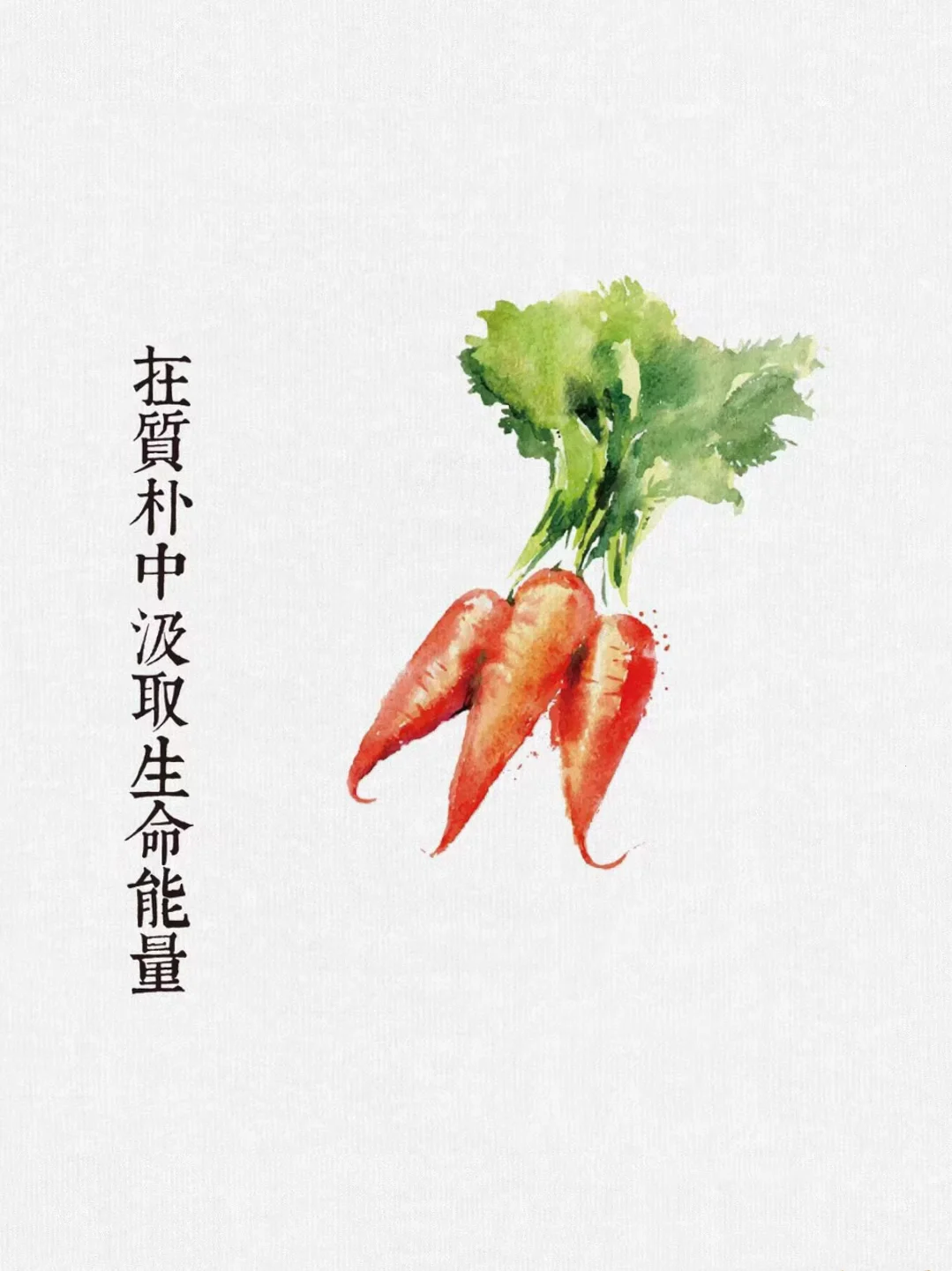 今天给蔬菜写文案：如果蔬菜会说话