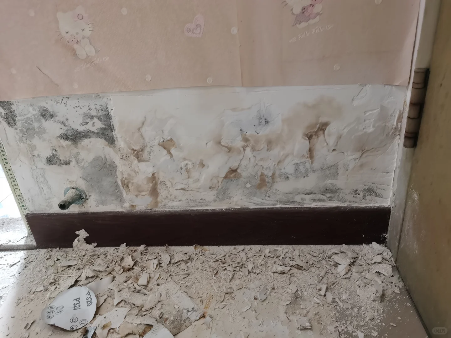 出租房墙面潮湿发霉怎么办?