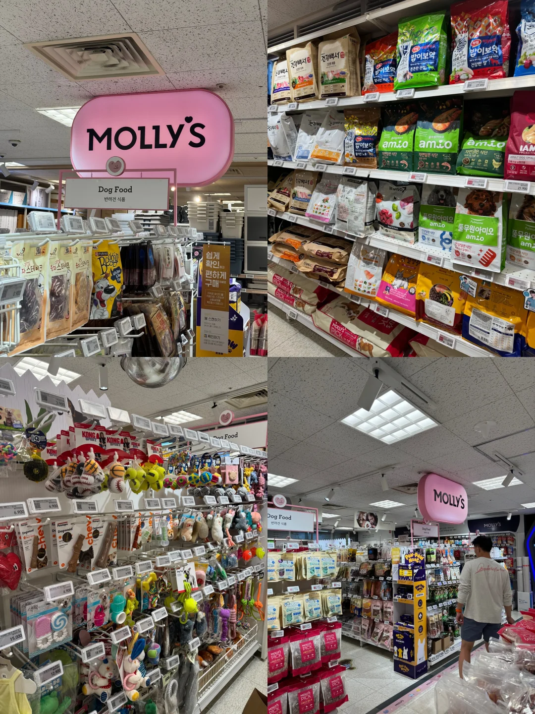 养狗人济州岛打猎攻略?勇闯?家店宠物店!