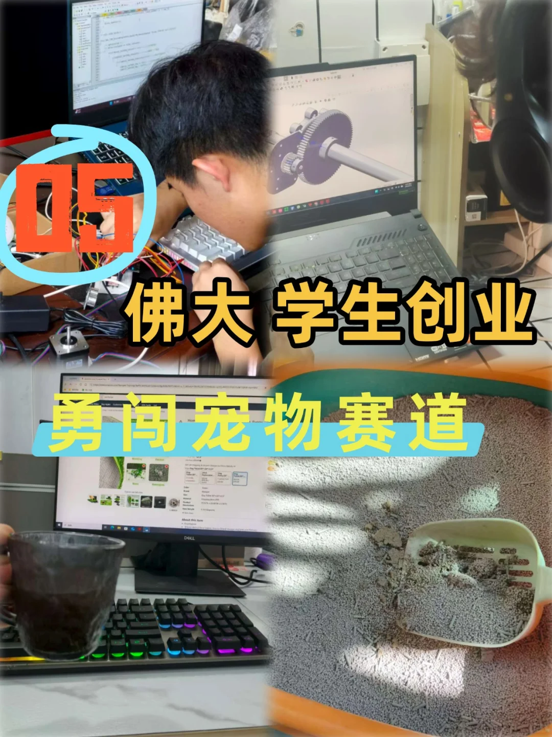 05佛大在读大学生|勇闯宠物行业