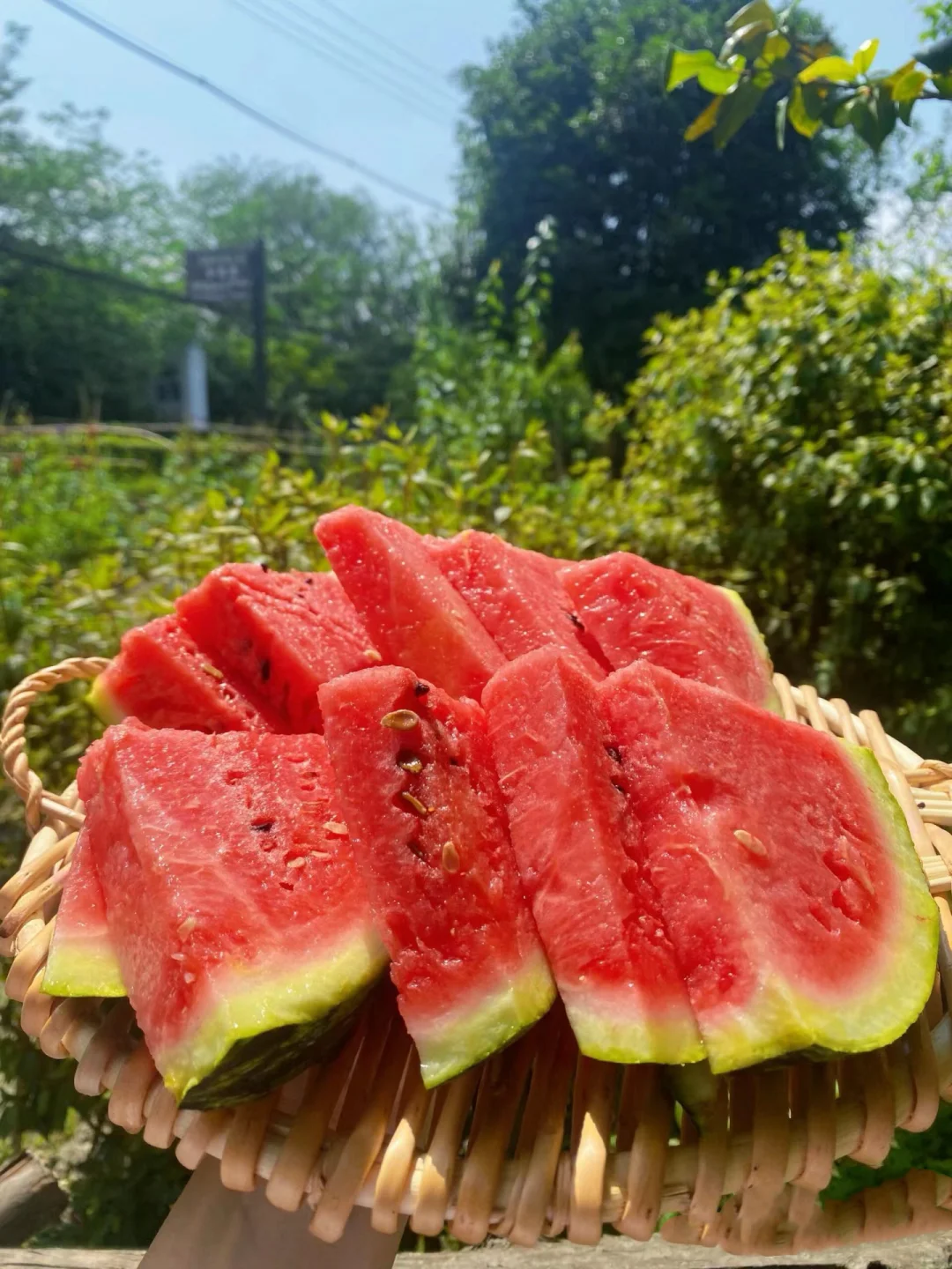 田园治愈系｜采摘是心情，收获是快乐