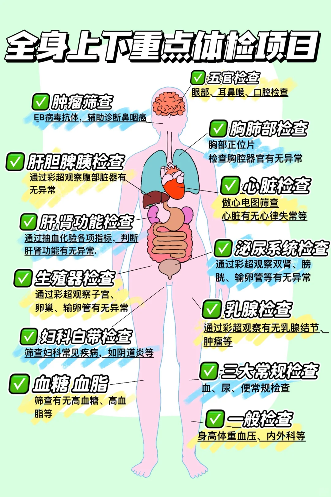 全身体检项目,一目了然