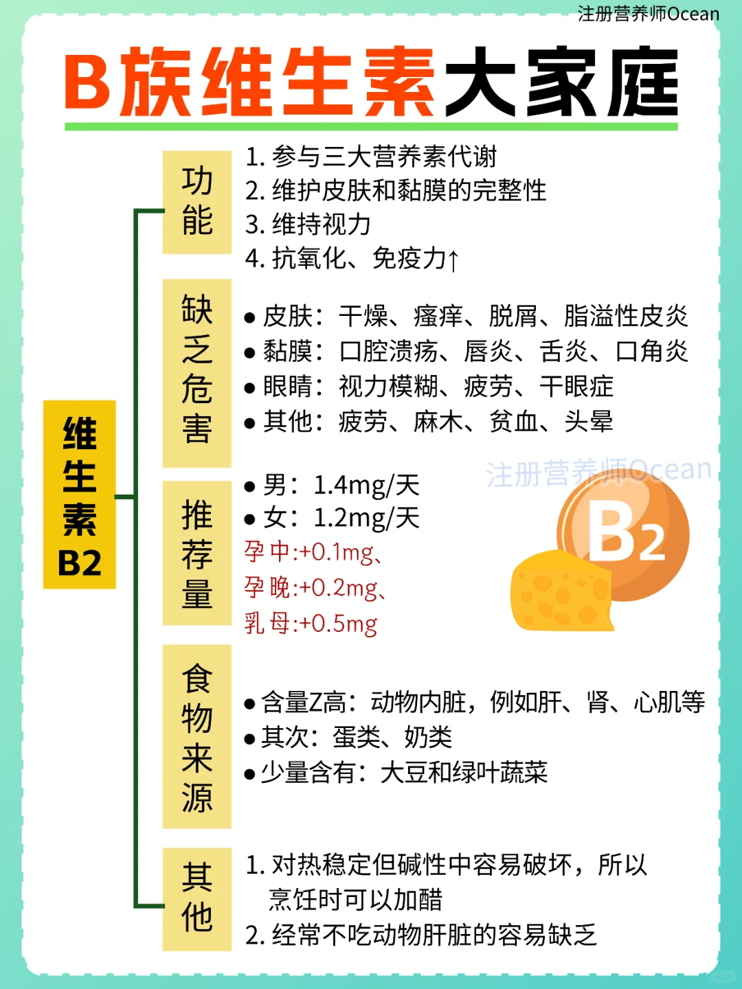 一篇全了解丨强大的B族维生素