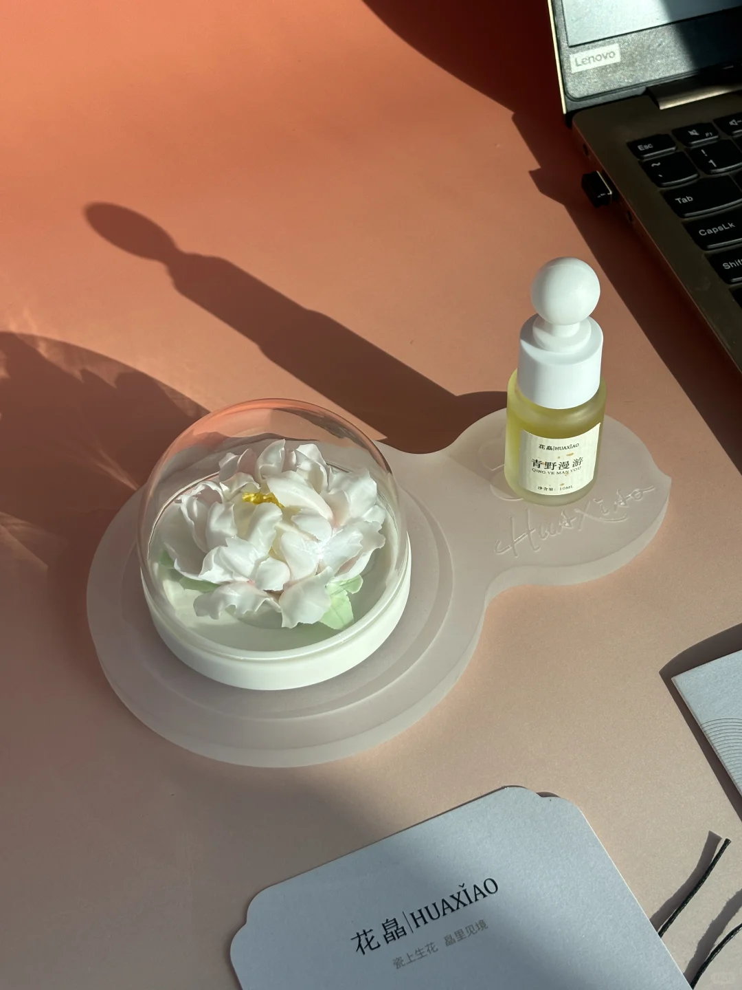 宝子们，花了368?买的瓷花，到底值不值啊！急