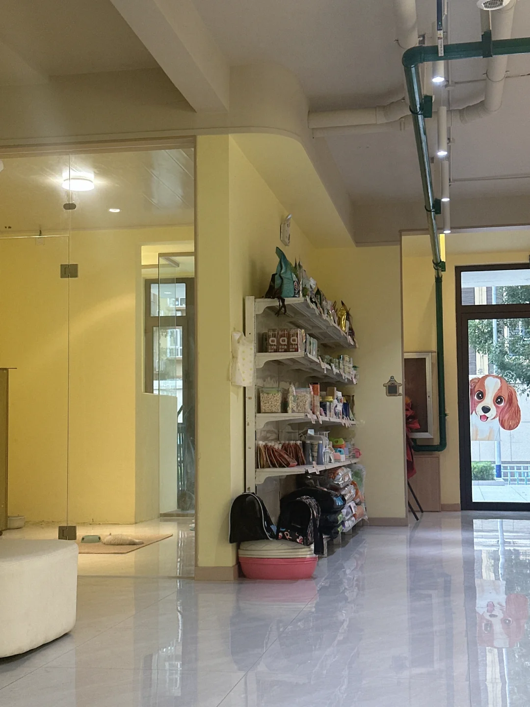 一家宠物店 求货源