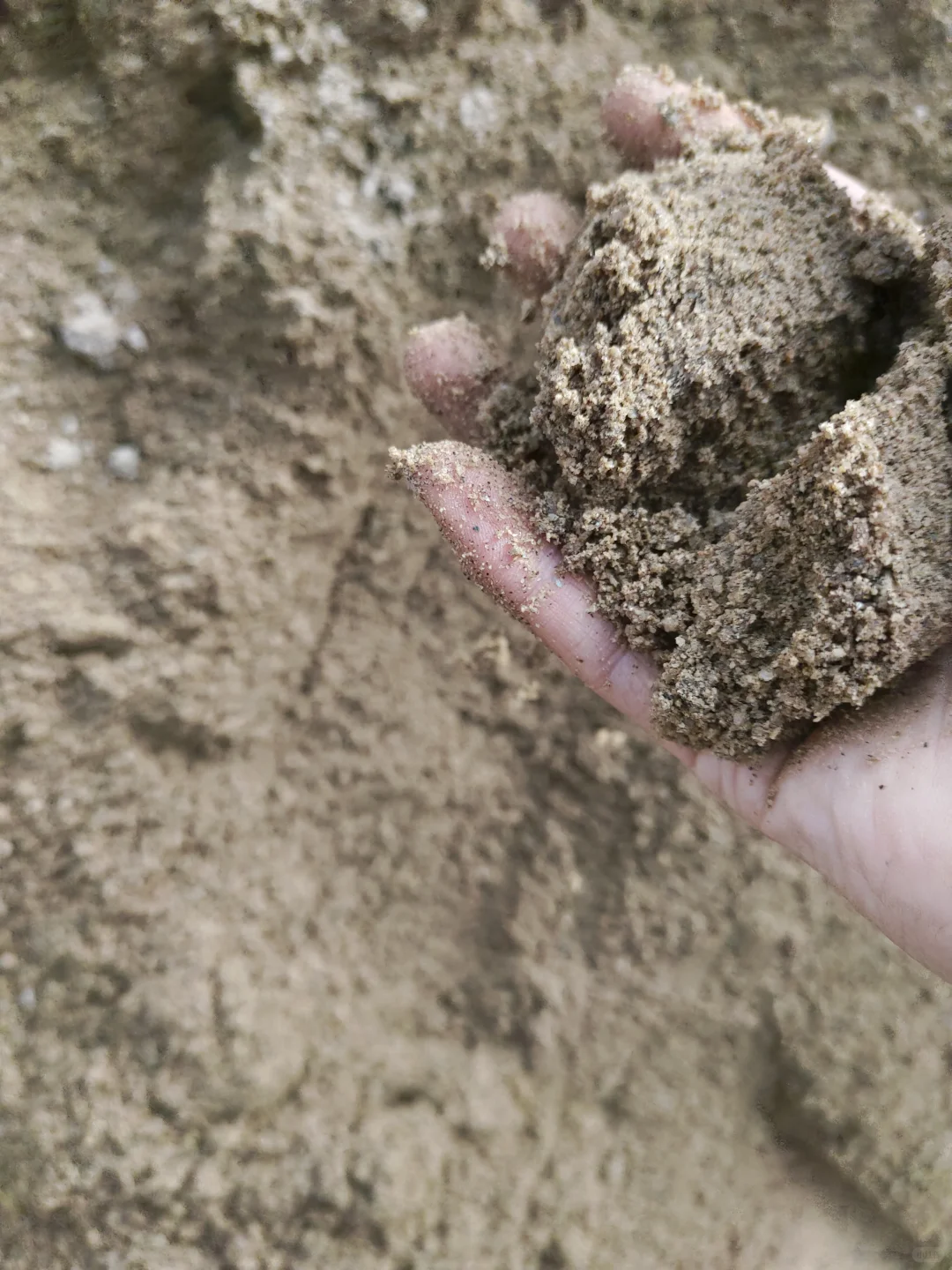 自装买沙子水泥必看❗️