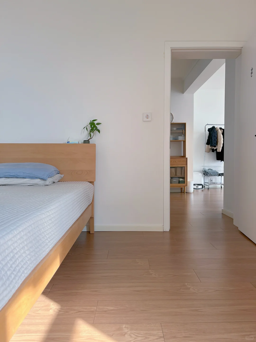 家净则心安|少物则心静